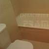 IMAG0554_wm.jpg